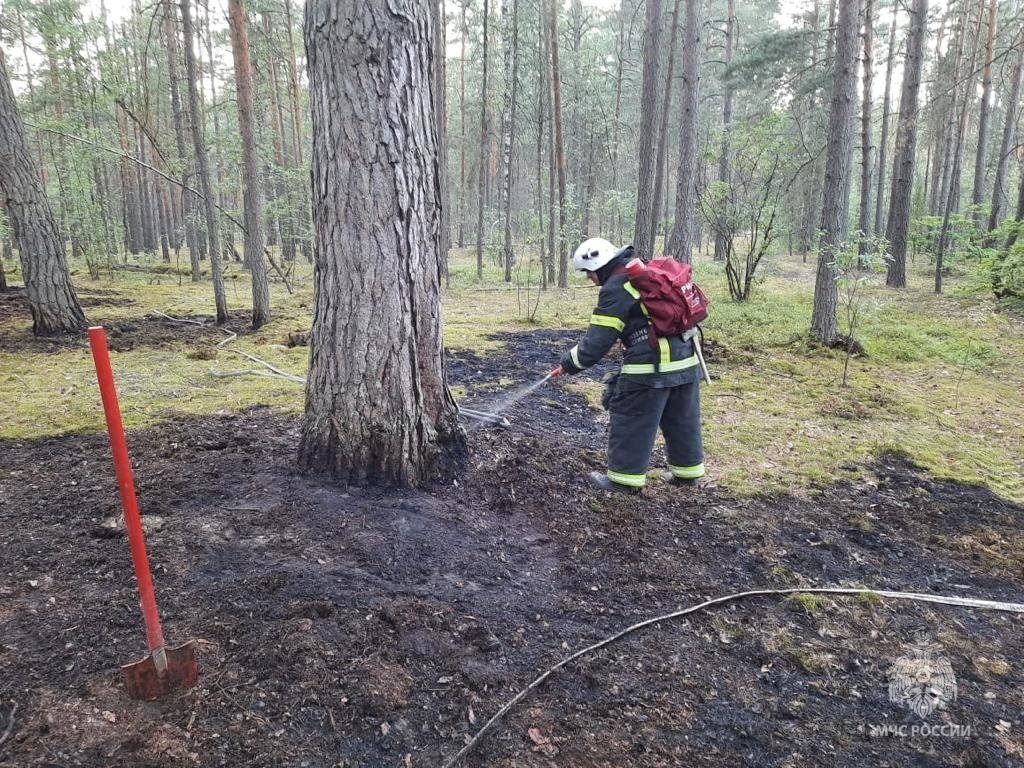 Лесной пожар в  Хвастовичском районе в 5 км от н.п. Аннино
